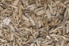 biomass boilers Goonhusband